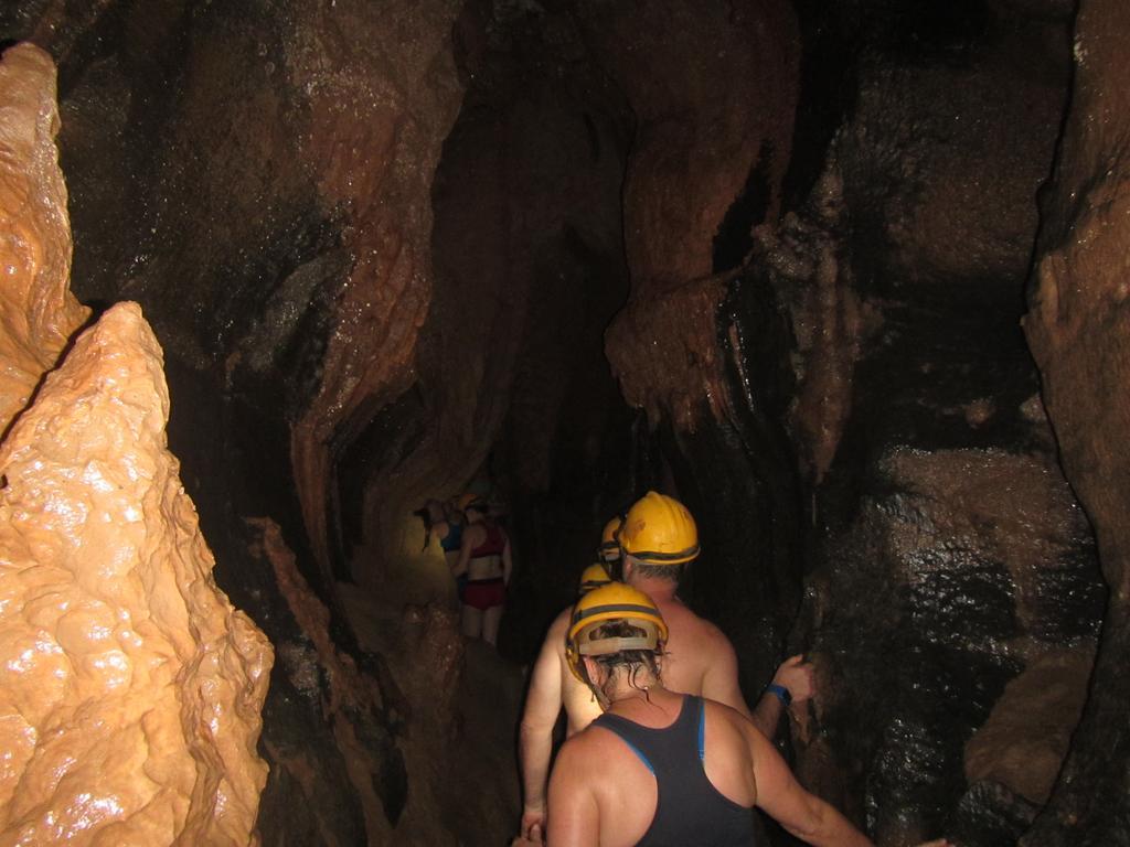 Thien Phu Hostel Phong Nha Eksteriør bilde