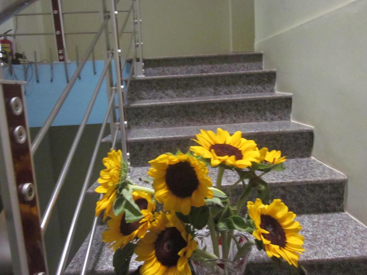 Thien Phu Hostel Phong Nha Eksteriør bilde